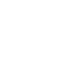 Icon13